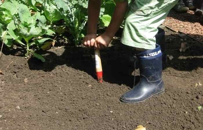 child gardening