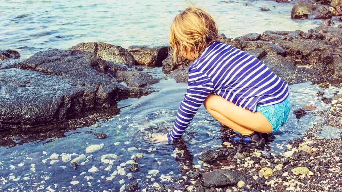 Child exploring rock pools by the coast