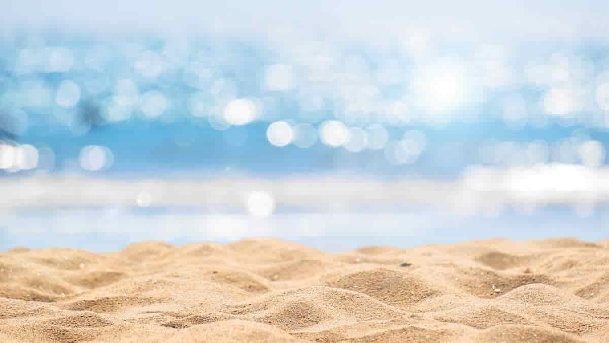 sunny day at the beach